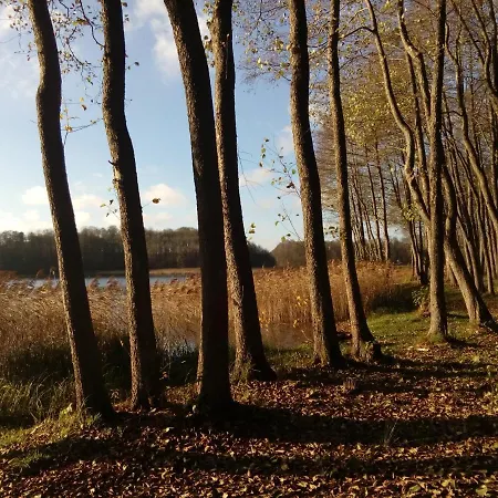 Wczasowe Mazury - Nad Jeziorem - Masuren - Do 12 Osob - Idealny Dla Grup Сasa de vacaciones Dluzek