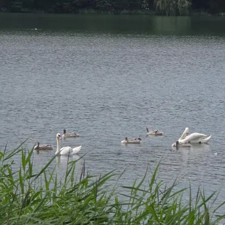 Wczasowe Mazury - Nad Jeziorem - Masuren - Do 6 Osob Dluzek